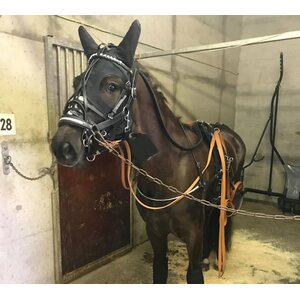 Fenwick Equestrian Liquid Titanium maski korvilla