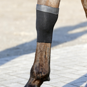 Kentucky Tendon Grip geelisukka hevoselle