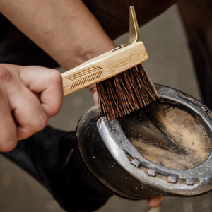 Kentucky Grooming Deluxe kaviokoukku