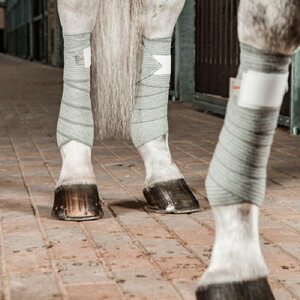 Incrediwear Equine Circulation Pintelit