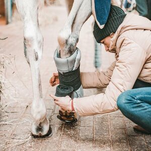 Incrediwear Equine Circulation tallipatjat