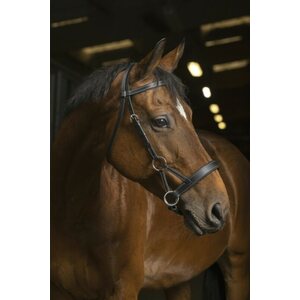 Norton Confort Sidepull kuolaimettomat suitset