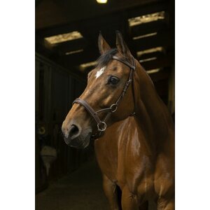 Norton Confort Sidepull kuolaimettomat suitset