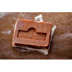 Kevin Bacon's Active Soap saippua