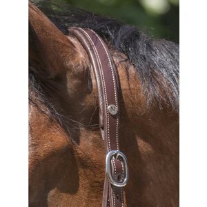Norton Pro Grooming Nahkariimu