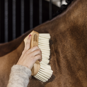 Kentucky Grooming Deluxe Middle Soft pölyharja