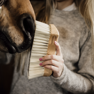 Kentucky Grooming Deluxe Middle Soft pölyharja