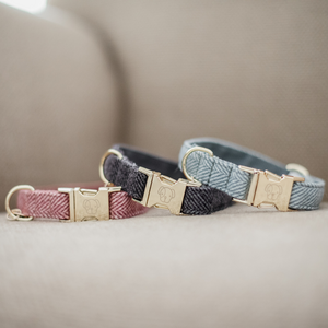 Kentucky Wool koiran kaulapanta