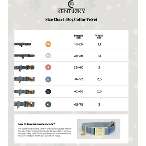 Kentucky Wool koiran kaulapanta