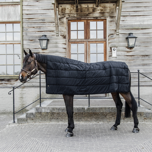 Kentucky Duvet 300g