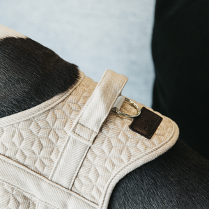 Kentucky Wool koiranvaljaat