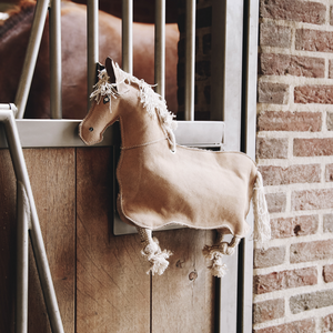 Kentucky Relax hevoslelu poni