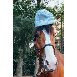 House of Horses Sailor Of The Streets pipo