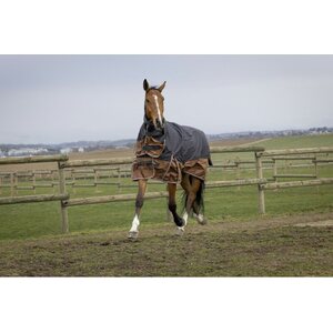 EquiThéme Tyrex Aisance Combo 600D ulkoloimi