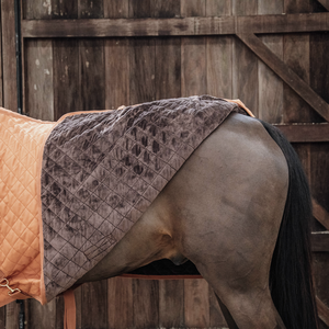 Kentucky Show Rug 160g