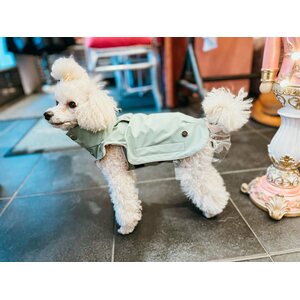 House of Horses Rain a little for dogs