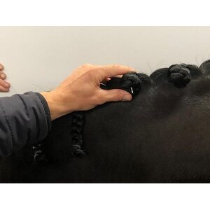 HesTec Quick Knot Deluxe letitysklipsit