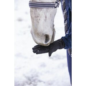 EquiThéme Hiver talviratsastushanskat