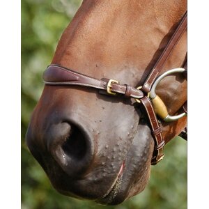Dy'on D Collection Drop Noseband nivelsuitset