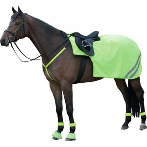 Horse Guard B'Seen heijastinratsastusloimi