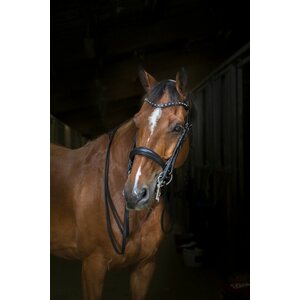 Eric Thomas Hybrid Weymouth kankisuitset