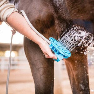 Aquapaw Equine grooming tool pesusuka