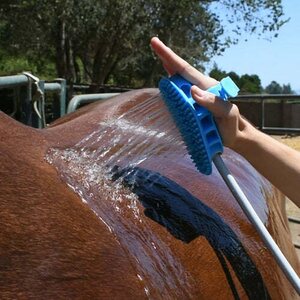 Aquapaw Equine grooming tool pesusuka
