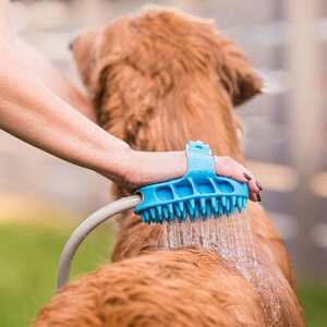 Aquapaw Pro grooming tool koirasuihku