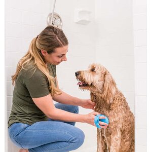 Aquapaw Pro grooming tool koirasuihku