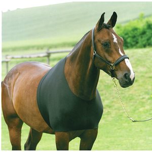 Horse Guard lapasuojus