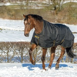 Bucas Irish Turnout Extra High Neck ulkoloimi