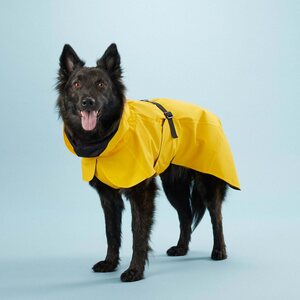 PAIKKA Visibility Raincoat Light keltainen