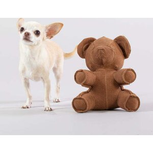 PAIKKA Teddy koiranlelu