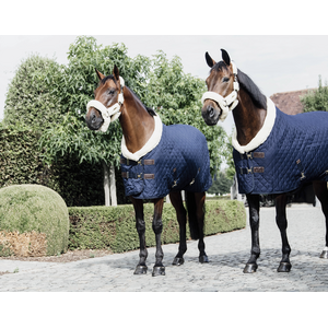 Kentucky Show Rug 160g