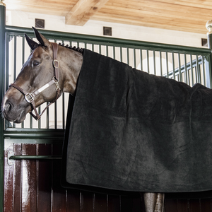 Kentucky Heavy Fleece viltti