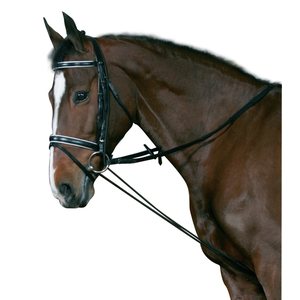 Horse Guard Joustochambon