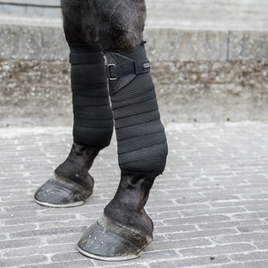Kentucky Elastic pintelit
