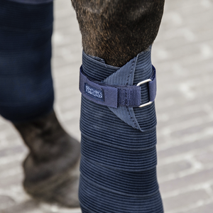 Kentucky Elastic pintelit