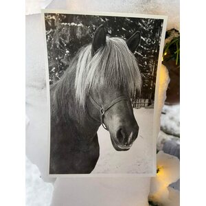 Postikortit 8kpl