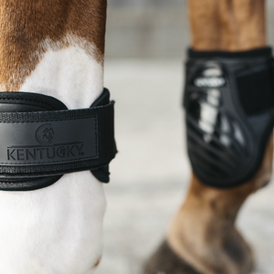 Kentucky Young horse fetlock boots