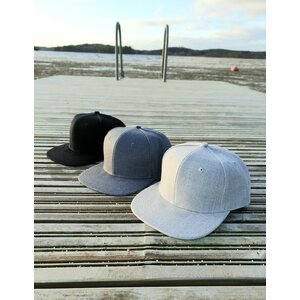 Lippalakki Trigon Snapback