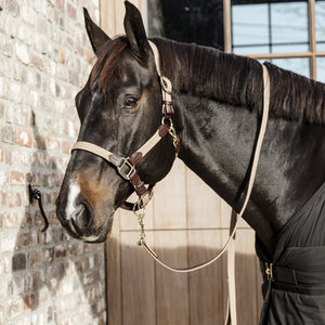 Kentucky Plaited Nylon riimu