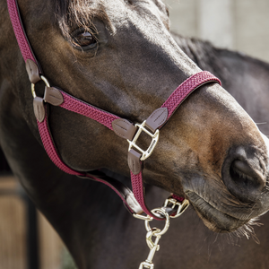Kentucky Plaited Nylon riimu