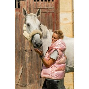 House of Horses Babe You Look So Cool toppaliivi