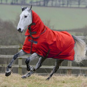 Bucas Freedom turnout 150/150g fullneck AW22 ulkoloimi