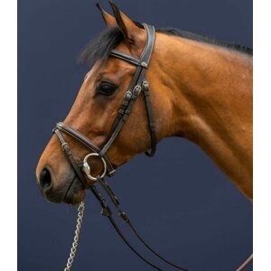 Dy'on Working Collection Flash Noseband nivelsuitset