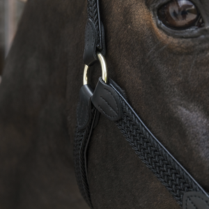 Kentucky Plaited Nylon riimu