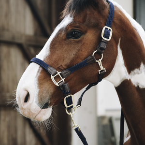 Kentucky Plaited Nylon riimu