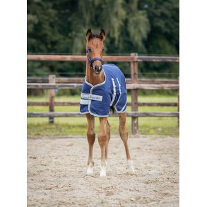 Bucas Foal Turnout 50g