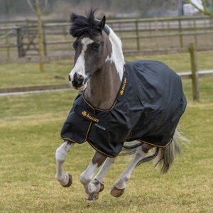 Bucas Irish Turnout Light Big Neck ulkoloimi